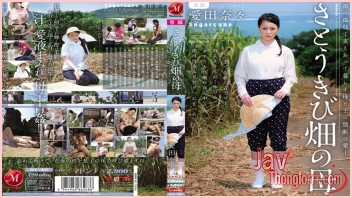 สาวไร่อ้อยเจอจับซอยหีแก้เงี่ยน JUC-937 หนังXญี่ปุ่น AVซับไทย Nana Aida สาวไร่อ้อยสุดสวยหนีคนจากเมืองมาอยู่บนเกาะ เพราะโดนจับซอยหีเย็ดเล่นท่าคาไร่อ้อยทุกวันจนหีระบม ก่อนมาเจอหนุ่มหล่อจับล่อหีบนเกาะอีกจนน้ำแตกในคาหี